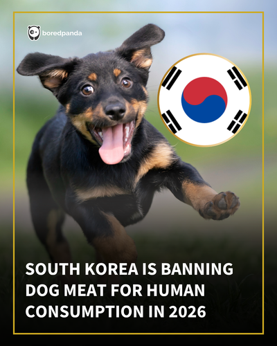 Copy of BP Main Native Template (3).png