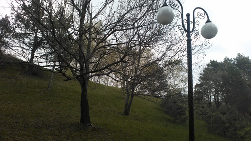 IMG 20150501 145501.jpg