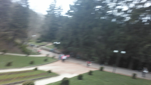 IMG 20150501 145658.jpg
