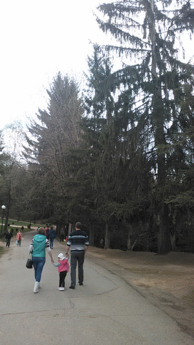 IMG 20150501 145452.jpg