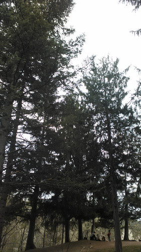 IMG 20150501 145455.jpg