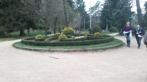 IMG 20150501 161158.jpg