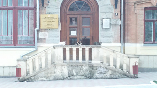 IMG 20150501 163551.jpg