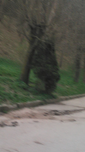 IMG 20150501 150705.jpg