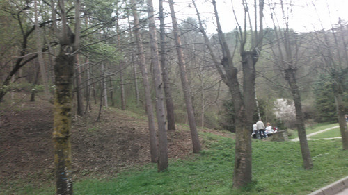 IMG 20150501 151012.jpg