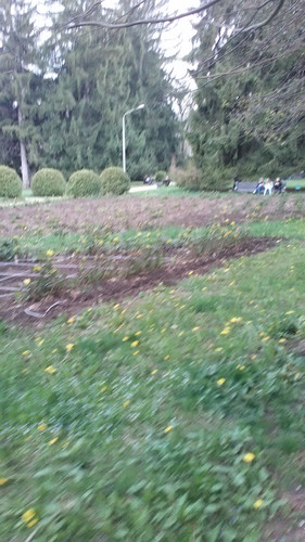 IMG 20150501 161243.jpg