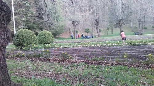 IMG 20150501 161233.jpg