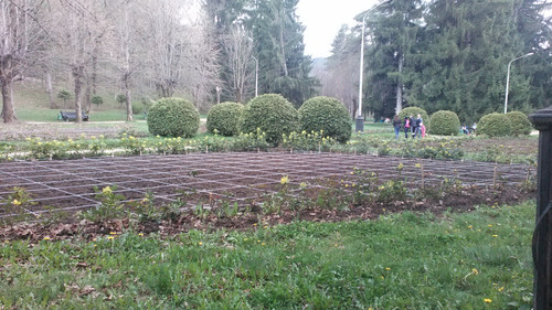 IMG 20150501 161236.jpg
