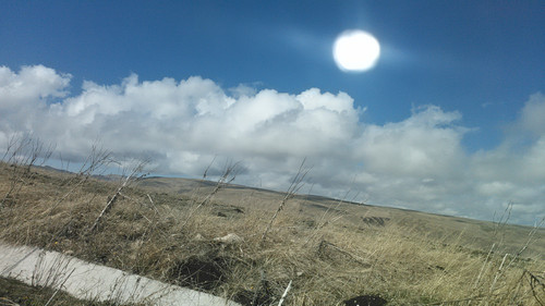 IMG 20150503 101449.jpg