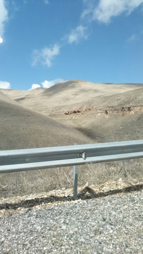 IMG 20150503 102651.jpg