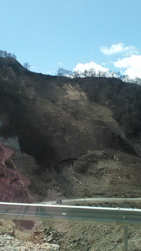 IMG 20150503 103157.jpg