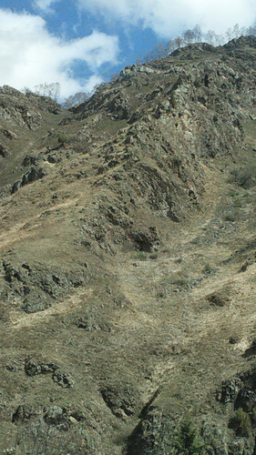 IMG 20150503 103529.jpg