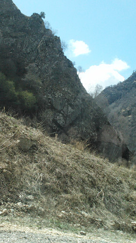 IMG 20150503 103318.jpg