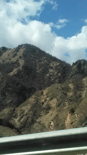 IMG 20150503 103215.jpg