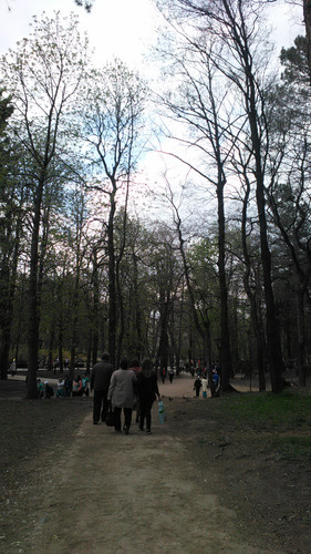IMG 20150501 133826.jpg