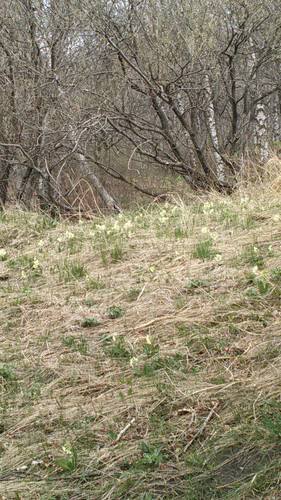 IMG 20150502 120644.jpg