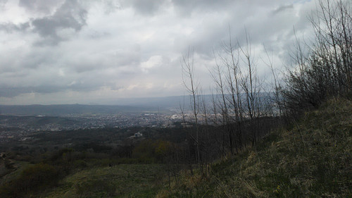 IMG 20150502 121327.jpg