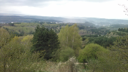 IMG 20150502 125147.jpg