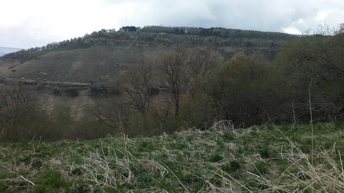 IMG 20150502 122353.jpg