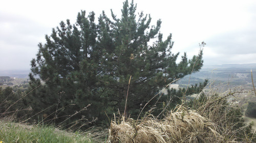 IMG 20150502 124653.jpg