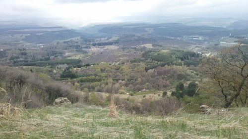 IMG 20150502 121602.jpg