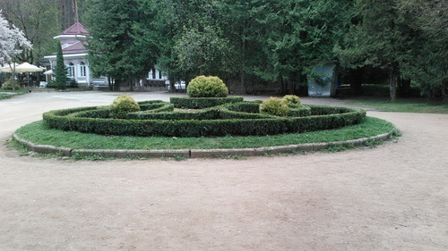 IMG 20150502 075345.jpg