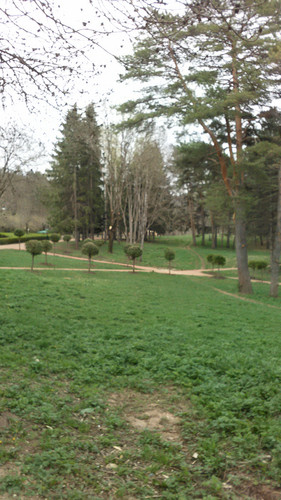 IMG 20150502 082000.jpg
