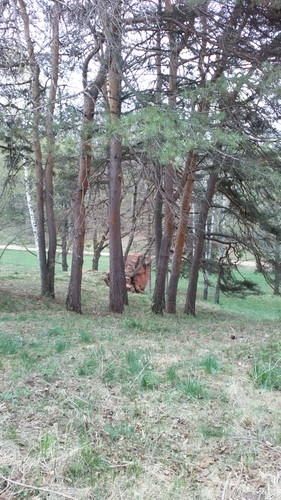 IMG 20150502 081513.jpg