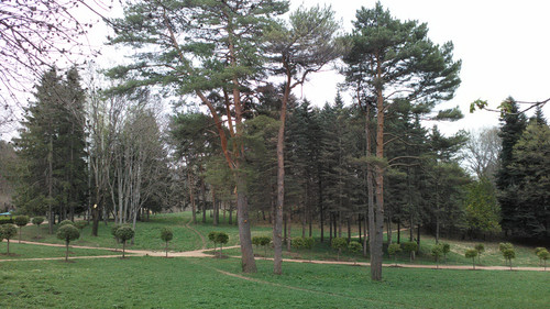 IMG 20150502 082009.jpg