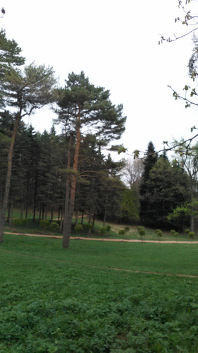IMG 20150502 082004.jpg