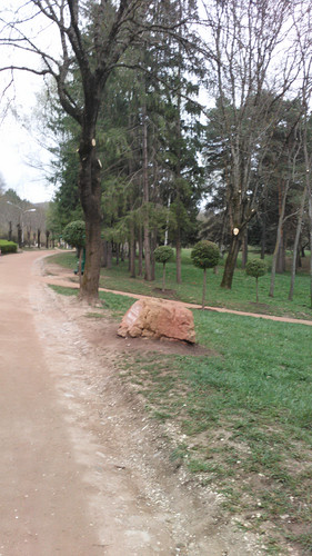 IMG 20150502 082108.jpg