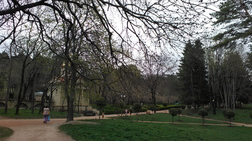 IMG 20150502 082013.jpg