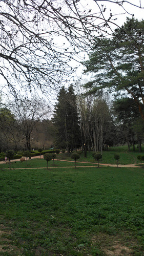 IMG 20150502 082017.jpg