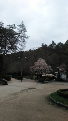 IMG 20150502 075349.jpg