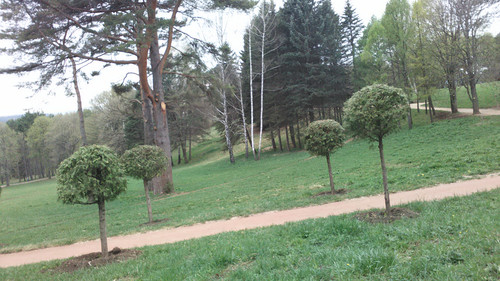 IMG 20150502 082129.jpg