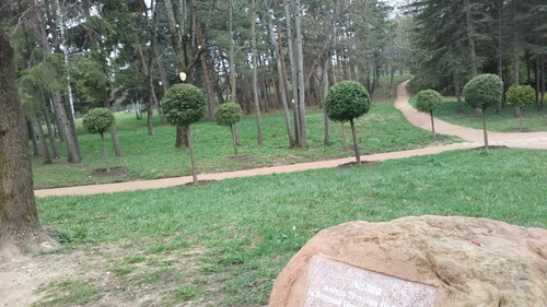 IMG 20150502 082126.jpg