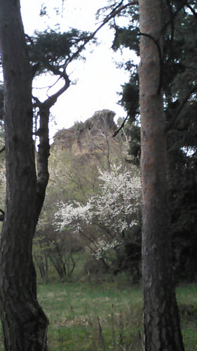 IMG 20150502 082548.jpg