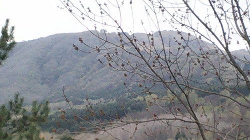 IMG 20150502 084655.jpg