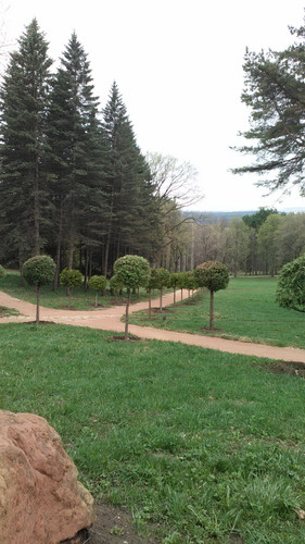 IMG 20150502 082123.jpg