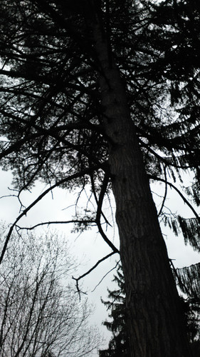 IMG 20150502 074641.jpg