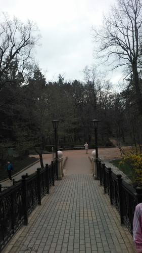 IMG 20150502 073723.jpg