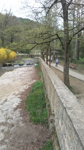 IMG 20150502 073726.jpg