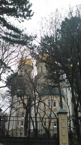 IMG 20150502 073247.jpg