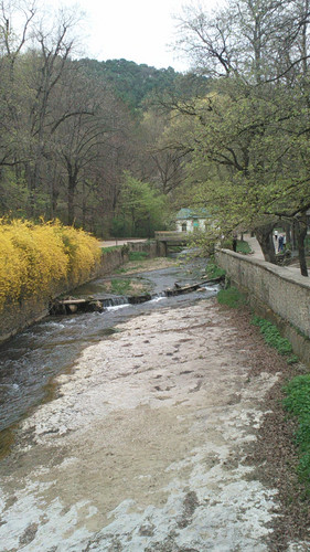 IMG 20150502 073850.jpg