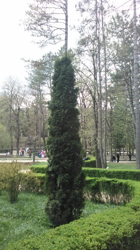 IMG 20150501 133755.jpg