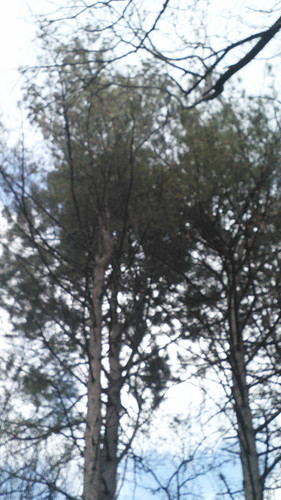IMG 20150501 133633.jpg