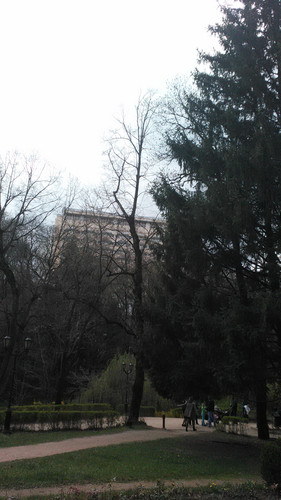 IMG 20150501 133242.jpg