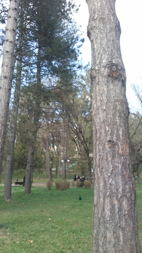 IMG 20150501 133426.jpg