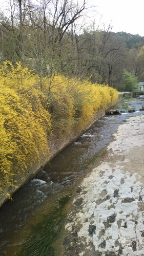 IMG 20150501 133056.jpg