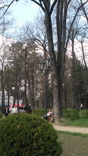 IMG 20150501 133229.jpg